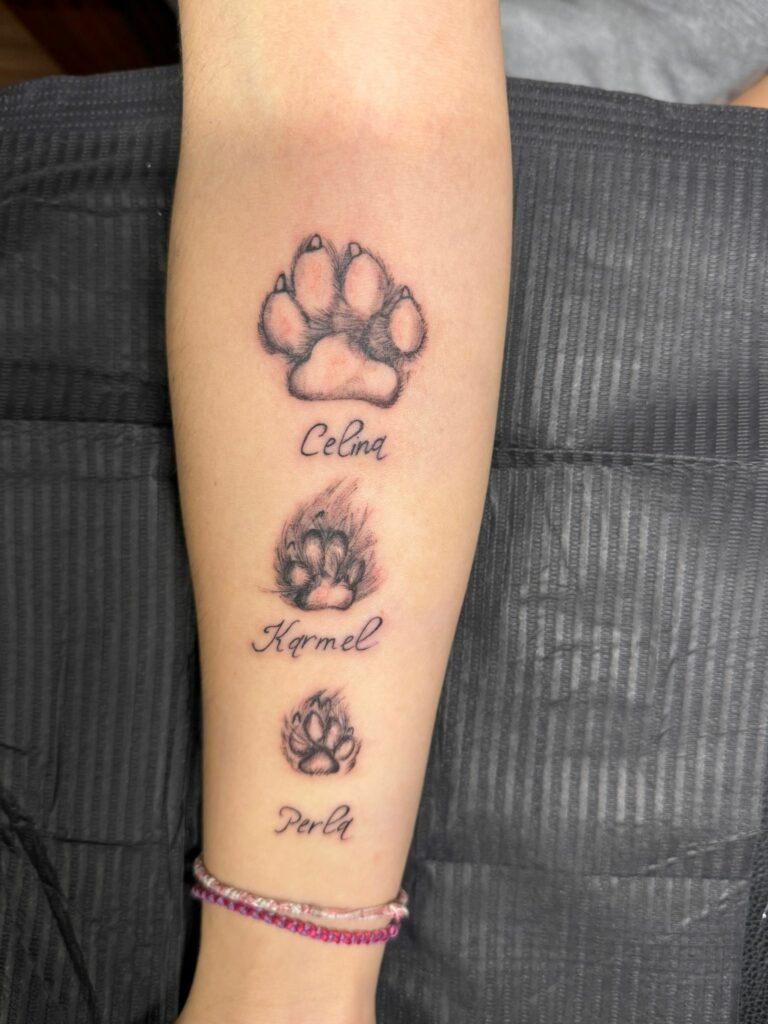 IMG-20260101-WA0047 IMG 20260101 WA0047 768x1024